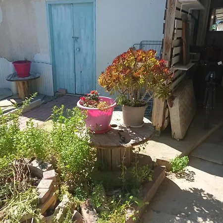 With Entrance From Yard Near To Larnaca Alloggio in famiglia